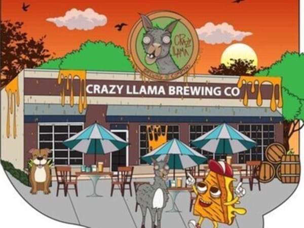Cheezy’s and Ryan V Music at Crazy Llama