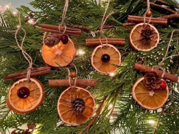Teen Crafternoon: Dried Citrus Ornaments