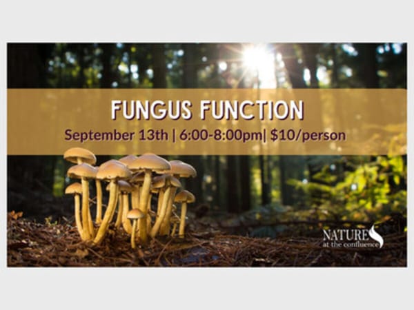 Fungus Function