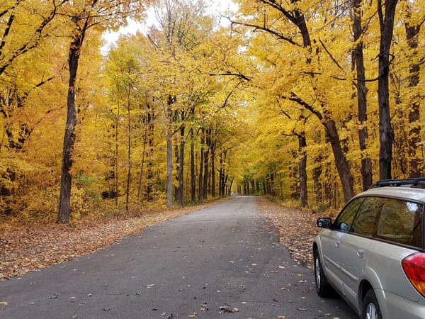 Photos: Fall has come, and is still here