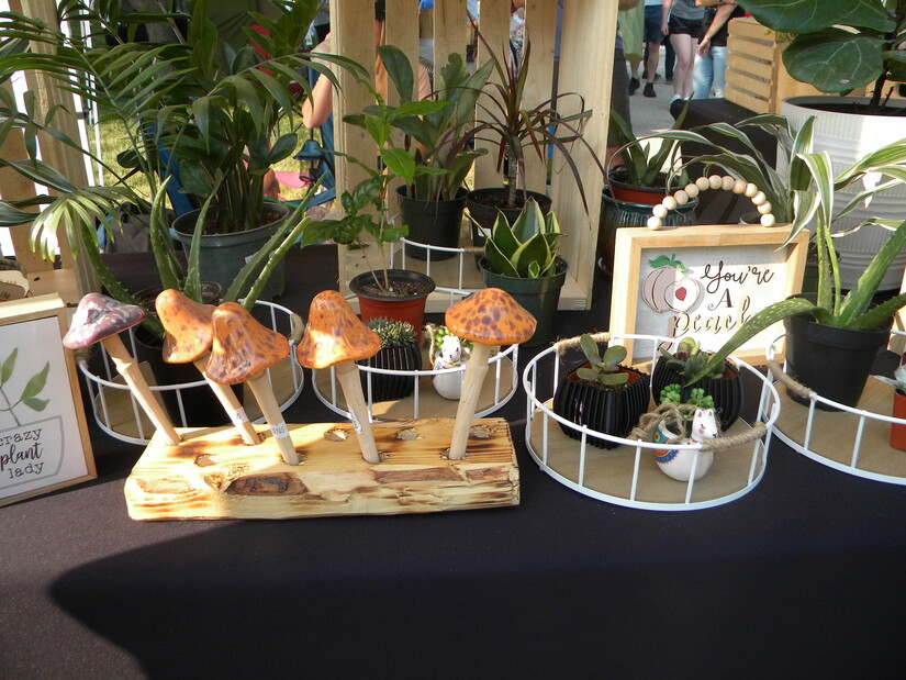 Succulent plants and mushroom ornaments for sale