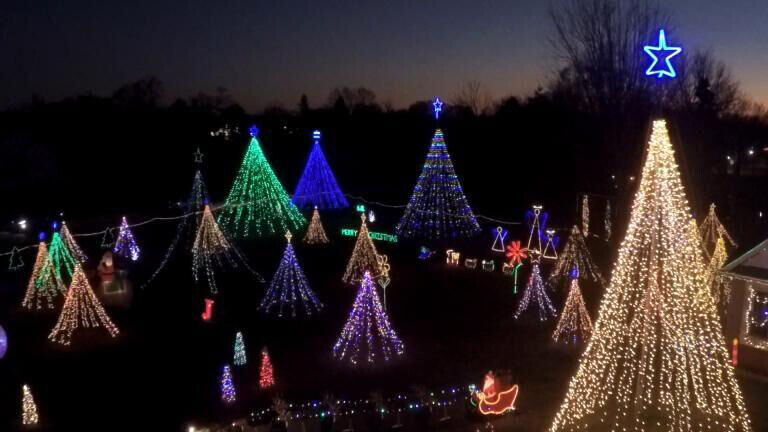 Lighted Christmas trees