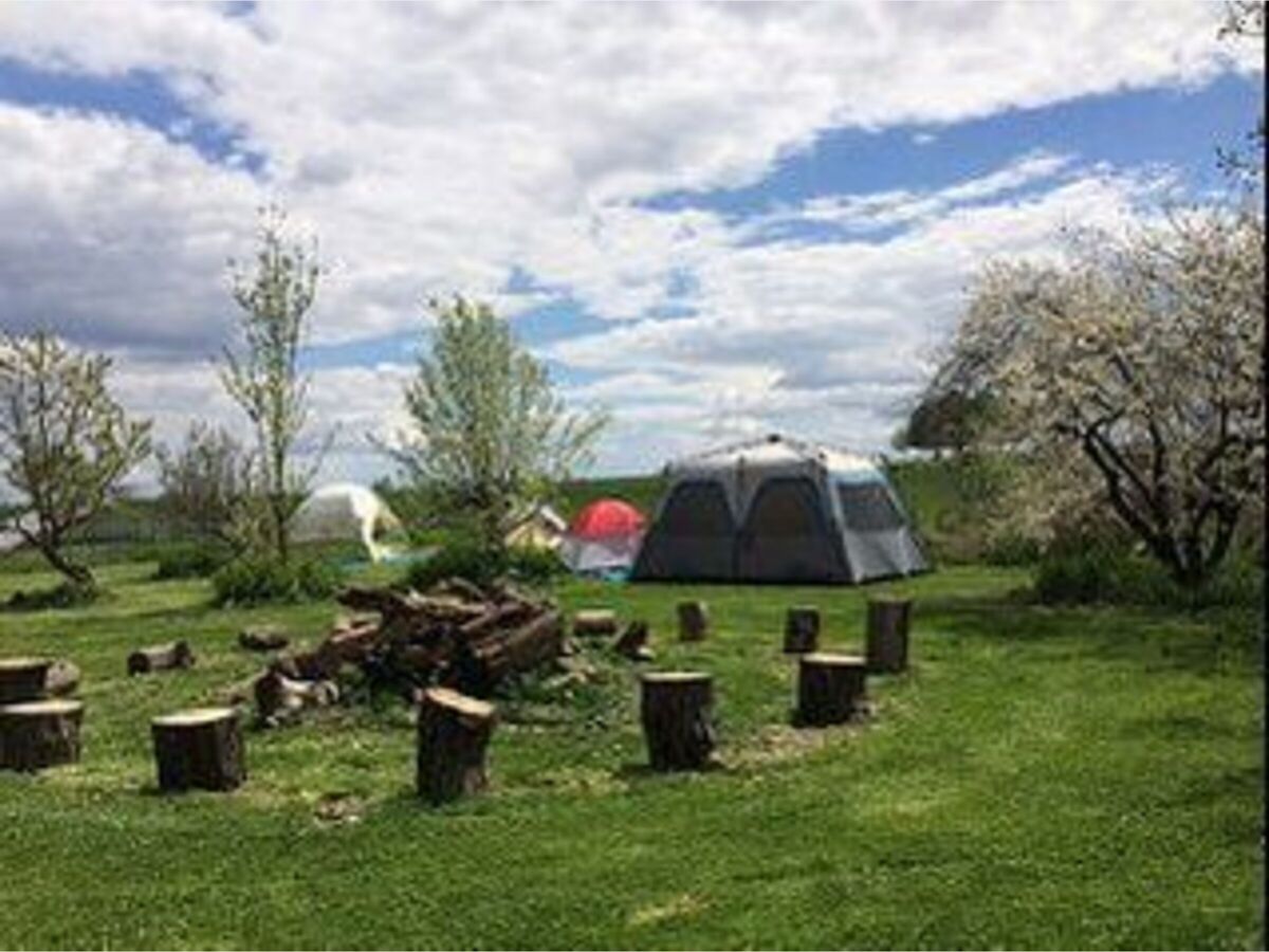 Family Camping Memorial Day Weekend RocktonRoscoe News