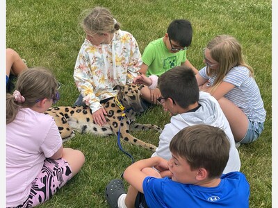 Did you see a dog that looked like a cheetah at the Rockton River Market?
