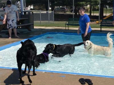 Dozens of dogs respond to “Last Call” at Rockton Swimming Pool