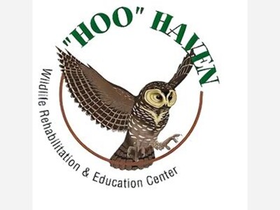 Hoo Haven Open House