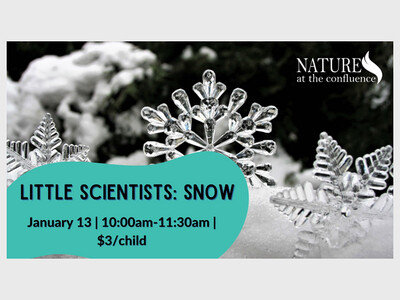 Little Scientists: Snow