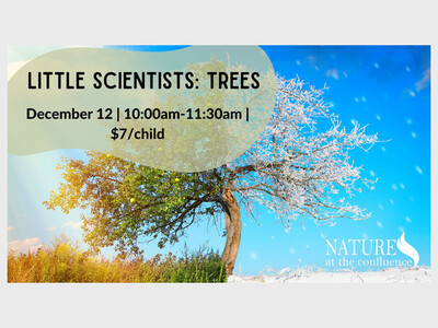 Little Scientists: Trees