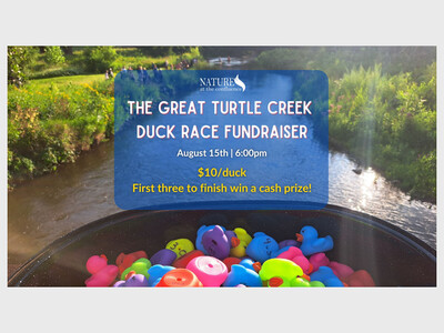 The Great Turtle Creek Duck Race Fundraiser