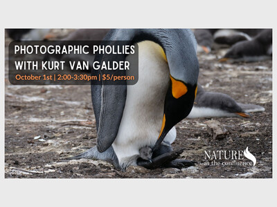 Photographic Phollies with Kurt Van Galder
