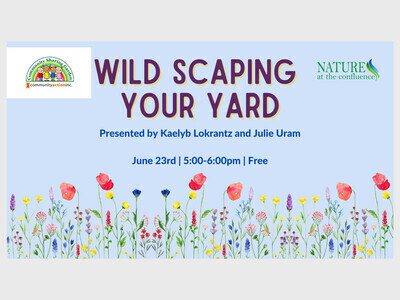 Wild Scaping Your Yard